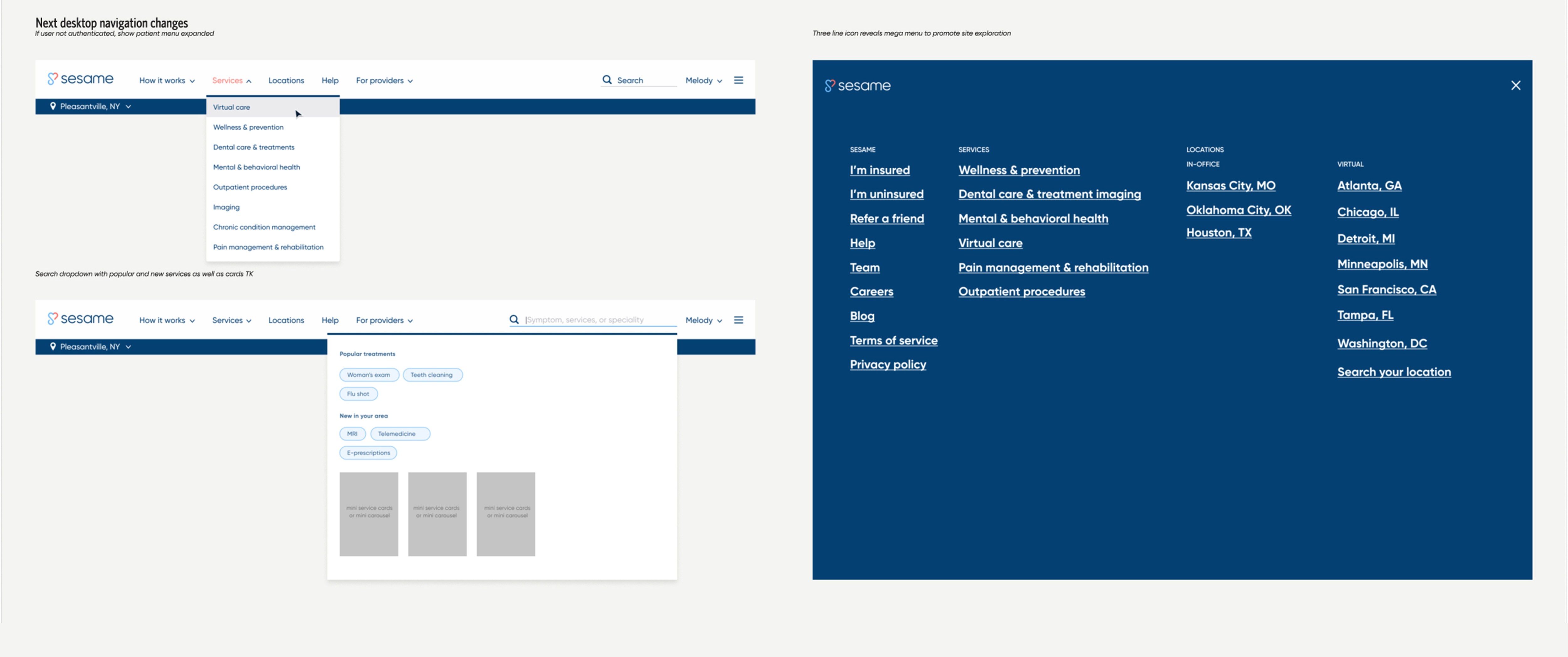 Sesame desktop navigation explorations for services, search, and site expansion
